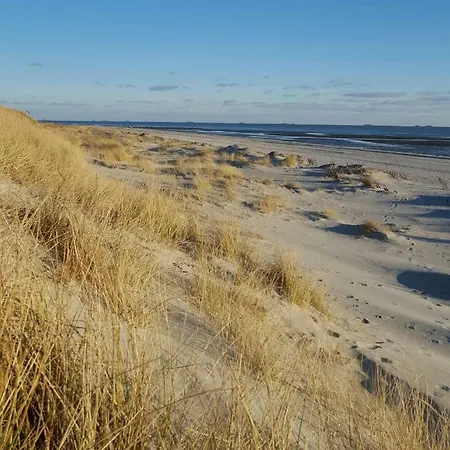 Whg Suedblick Auf Foehr Goting